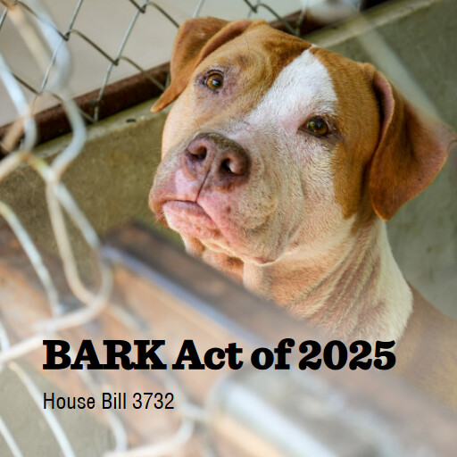 H.R.3732 119 BARK Act of 2025