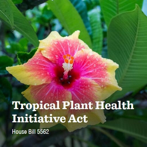 H.R.5562 119 Tropical Plant Health Initiative Act