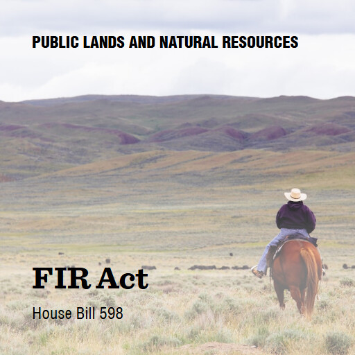 H.R.598 119 FIR Act