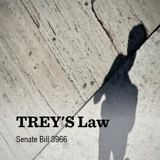 S.3966 119 TREYS Law
