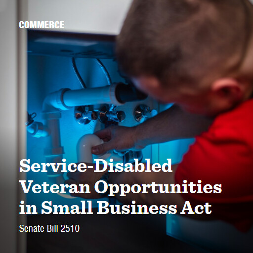 S.2510 119 ServiceDisabled Veteran Opportunities in Small Business Act