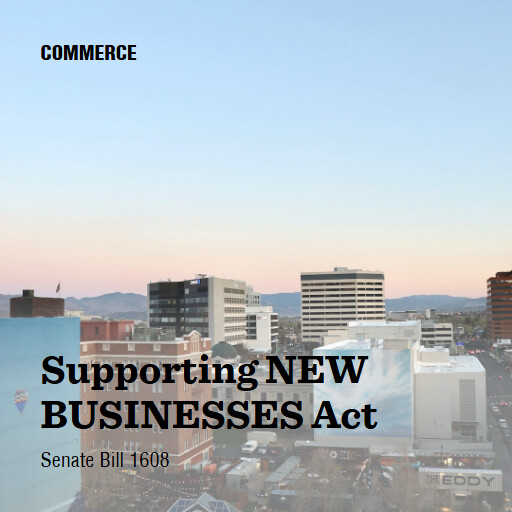 S.1608 119 Supporting NEW BUSINESSES Act